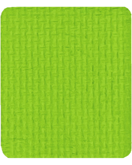 Gavissi Beauty - "AVOCADO" SINGLE LINER PAN (MATTE)
