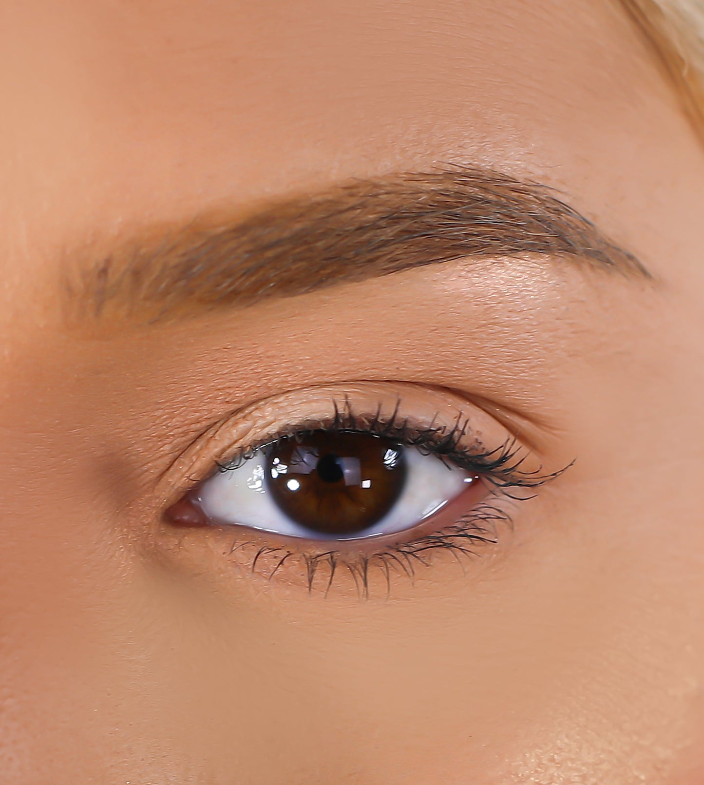 Lurella Cosmetics - 3D Mink Eyelashes - Cardi