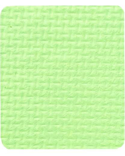 Gavissi Beauty - "KEY LIME" SINGLE LINER PAN (UV)