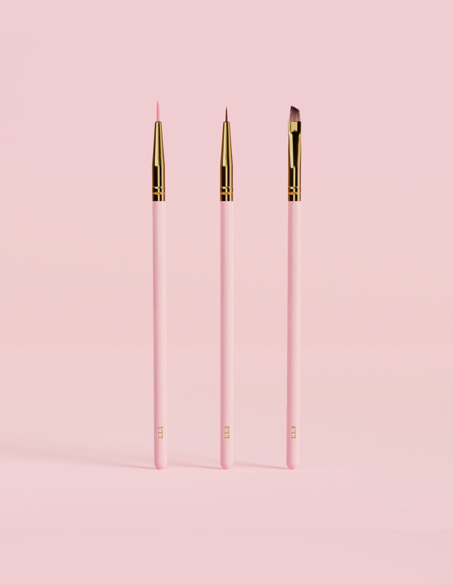 Learning Lines 3-Piece Eyeliner & Detail Brush Set