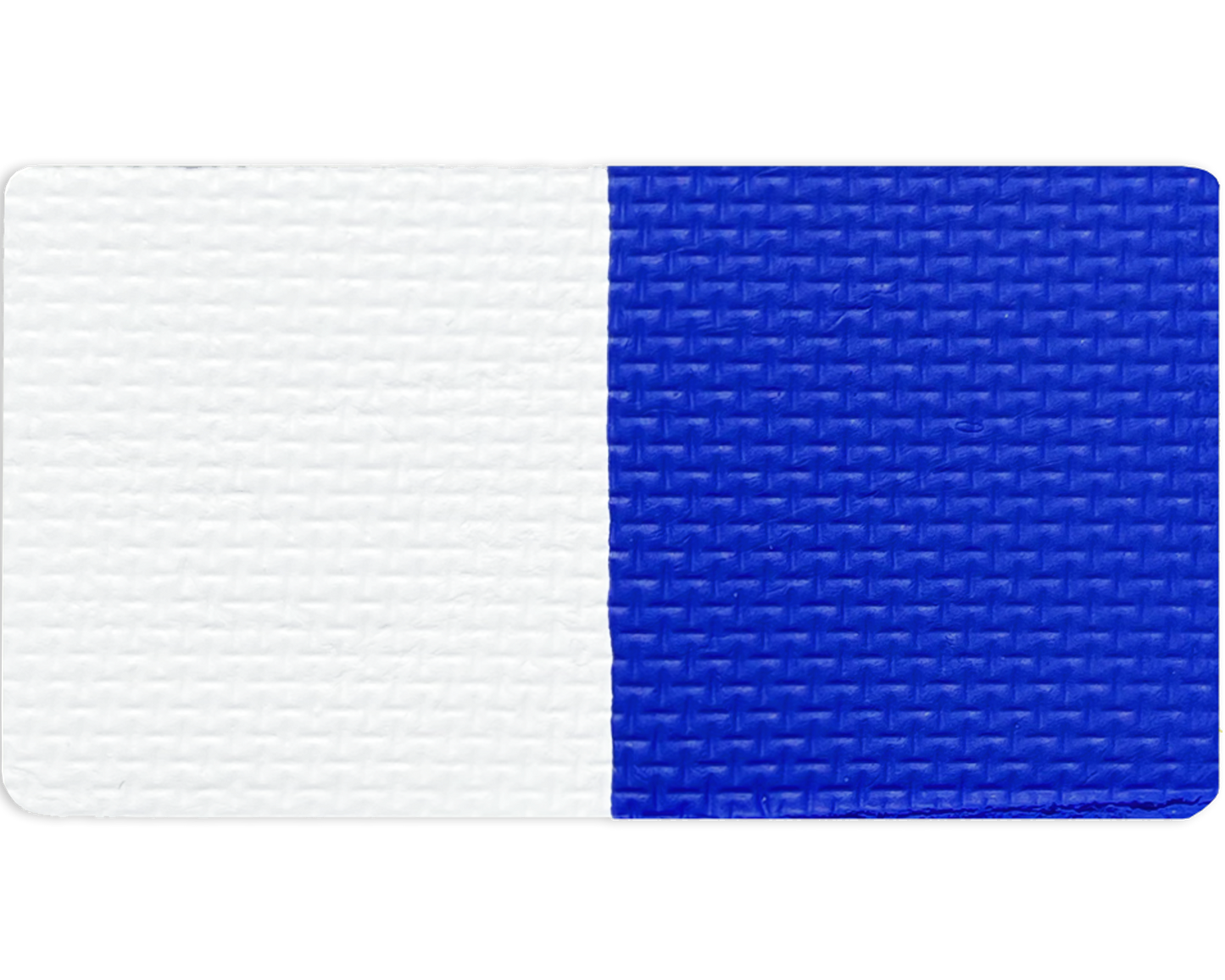 Gavissi Beauty - "SKY BLUE"- DOUBLE SPLIT LINER PAN (MATTE)