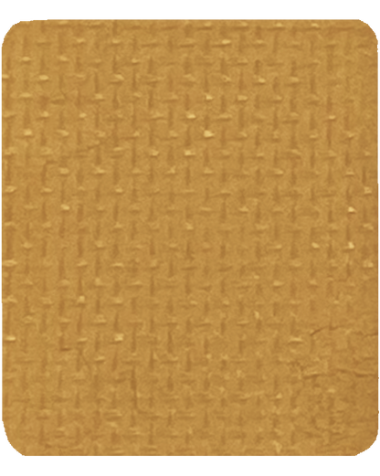 Gavissi Beauty - "SUGAR COOKIE" SINGLE LINER PAN (MATTE)