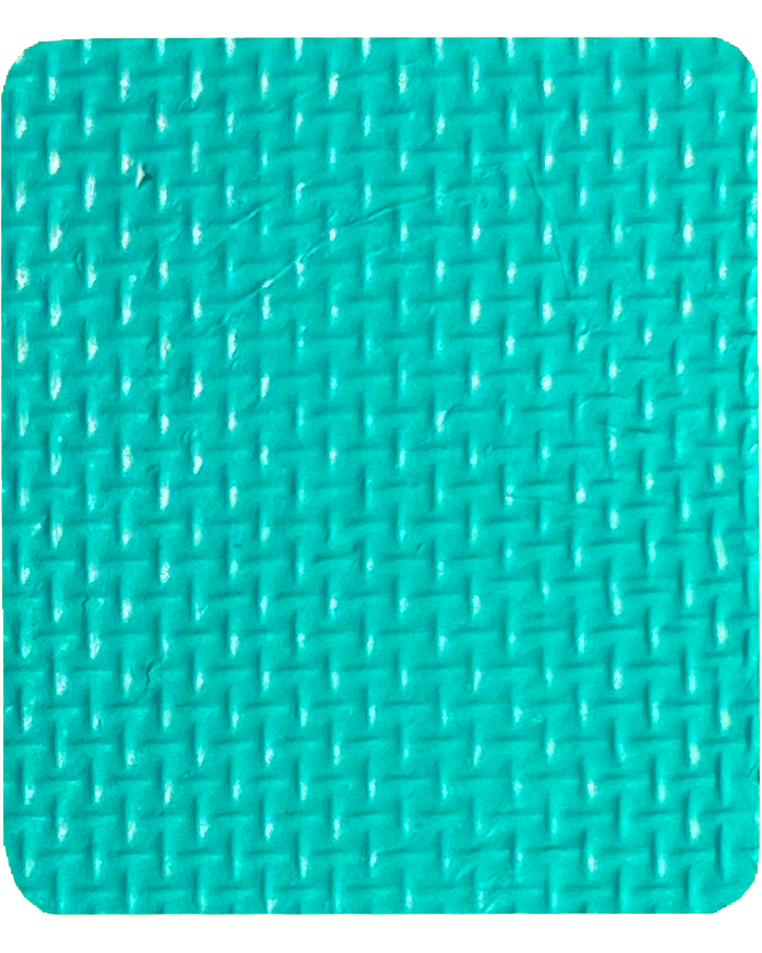 Gavissi Beauty - "TROPICS" SINGLE LINER PAN (MATTE)