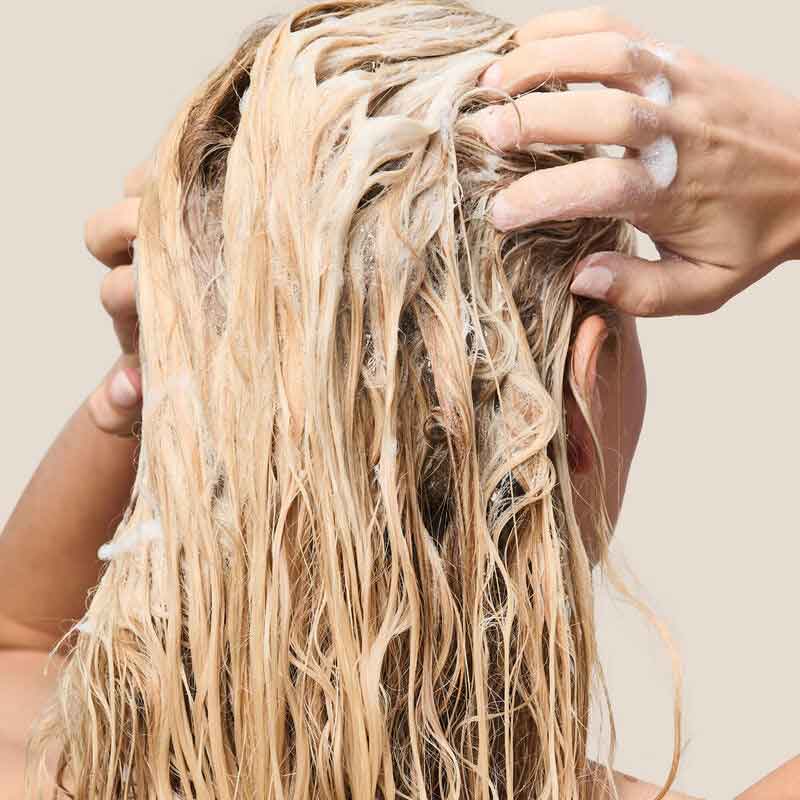 Living Proof Restore Shampoo