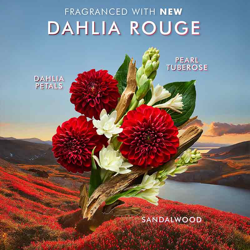 Moroccanoil Dahlia Rouge Body Care Set Discontinued