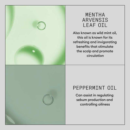 Nioxin Density Defend Hair Booster Serum